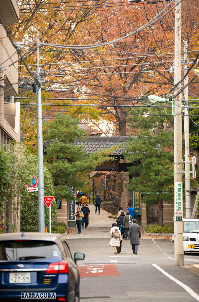 浄真寺・自由が丘方面から