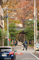 浄真寺・自由が丘方面から