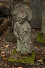 目黒・大円寺⑨