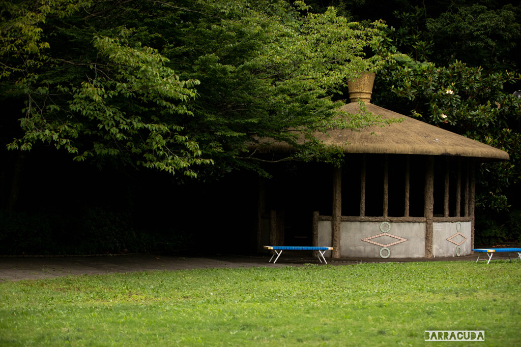 金沢動物園20200621⑨