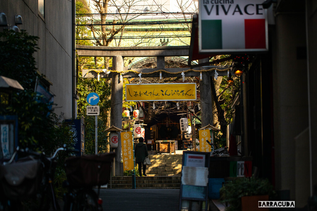 東京にある金毘羅さん