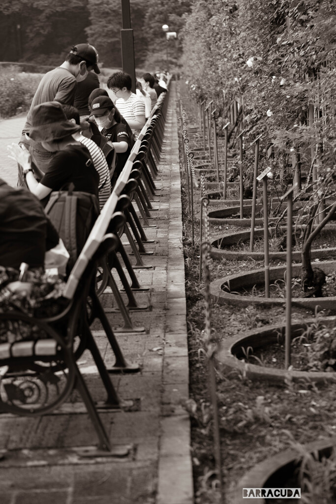 神代植物公園にて⑧