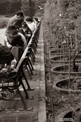 神代植物公園にて⑧