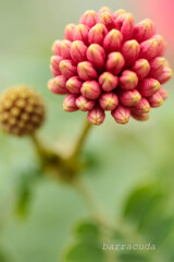 2016年2月大船にて②