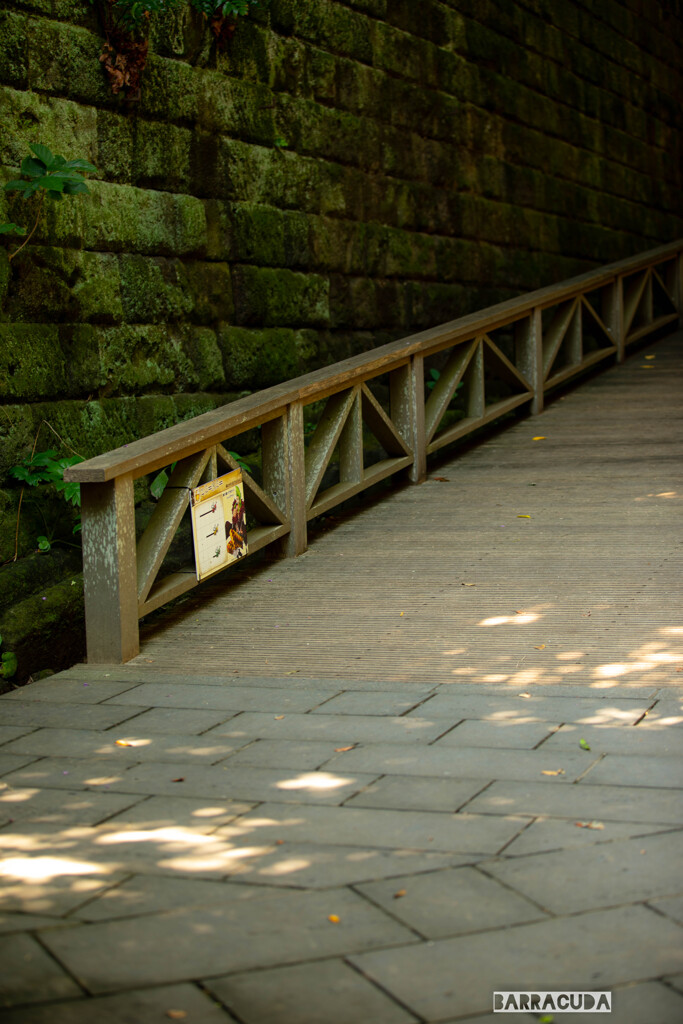 横須賀・猿島シリーズ②　冒険Ⅰ