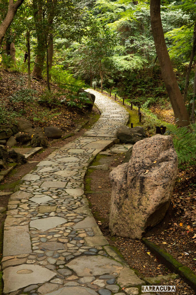 後楽園の紅葉⑤