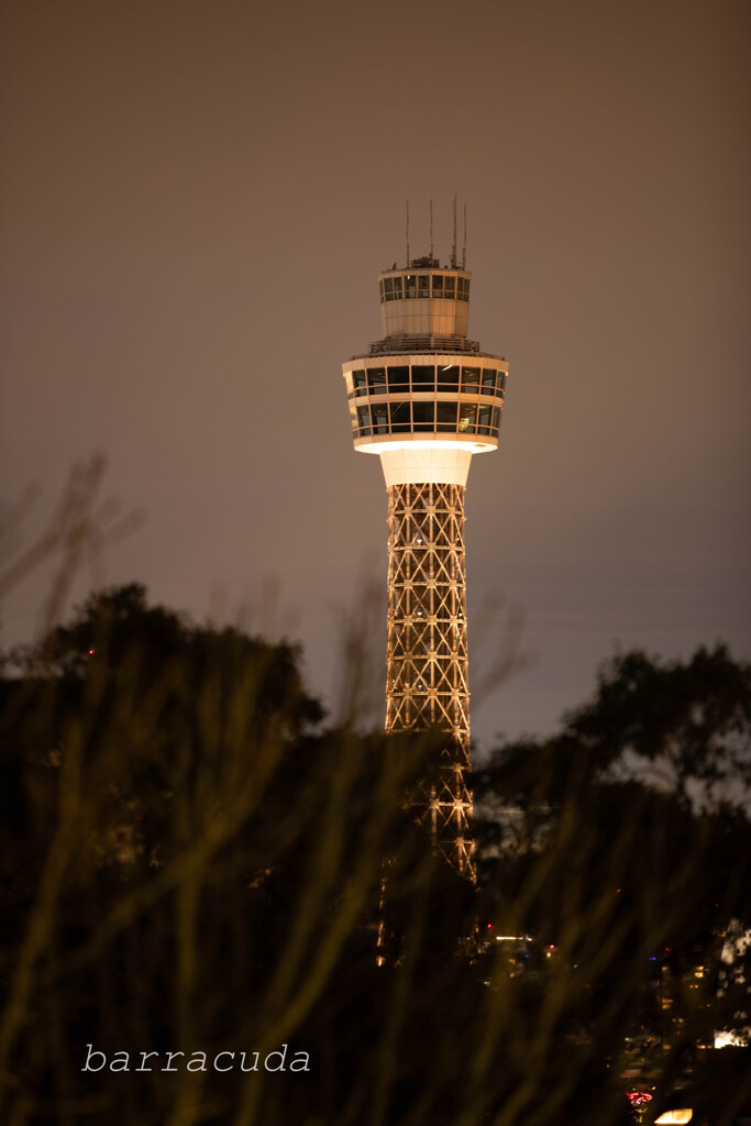 港が見える丘公園で港を見ました⑦