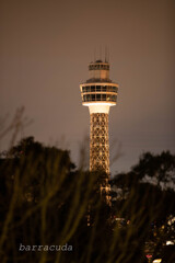 港が見える丘公園で港を見ました⑦