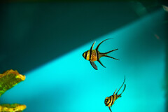 御茶ノ水まで⑩