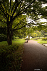 久良岐公園にて⑨