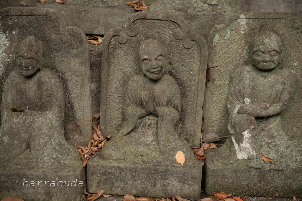 目黒・大円寺⑥