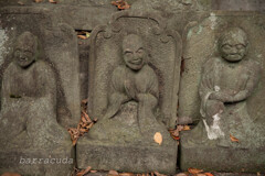 目黒・大円寺⑥