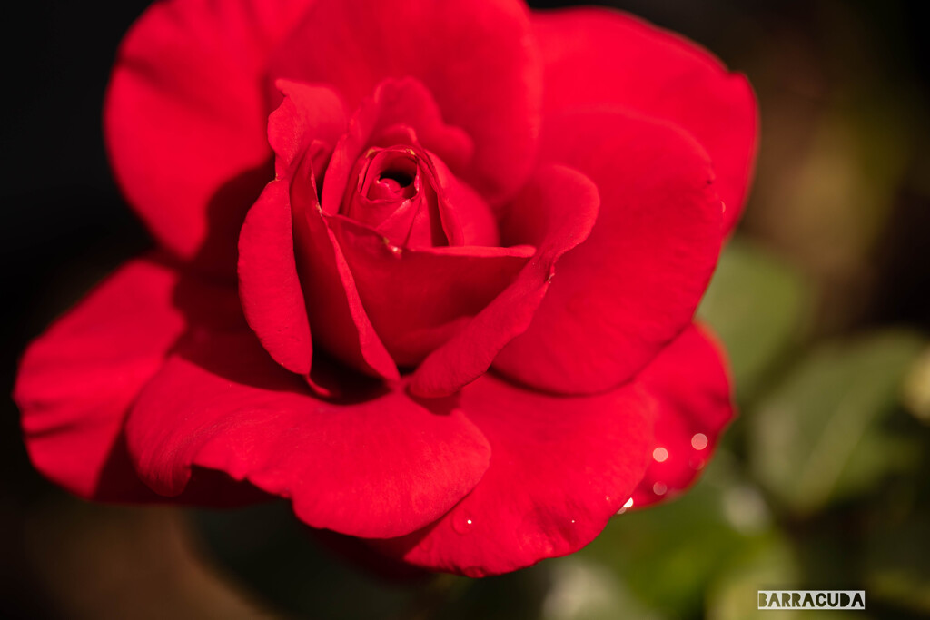木場公園にて③