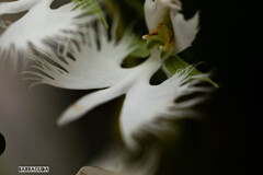 長久保公園にて⑧