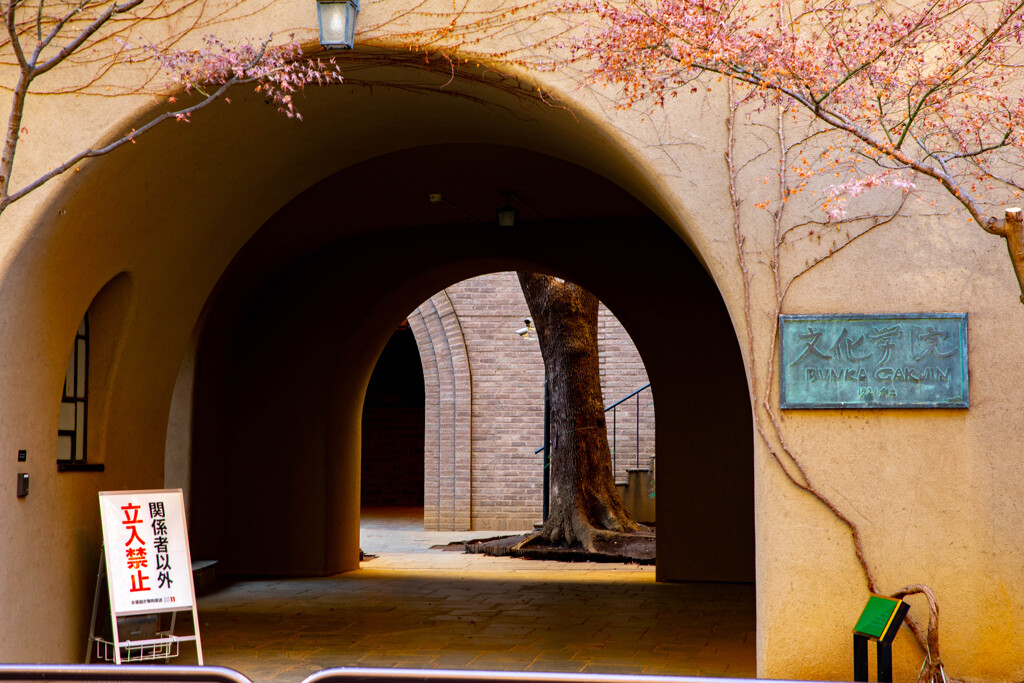 御茶ノ水まで④