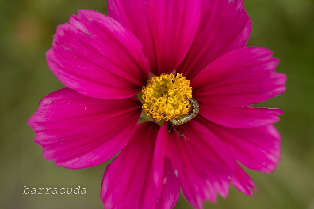 港が見える丘公園①