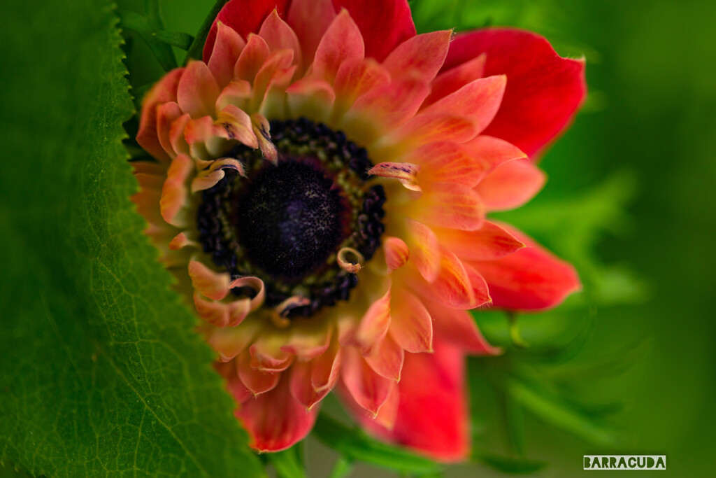 日比谷公園へ②