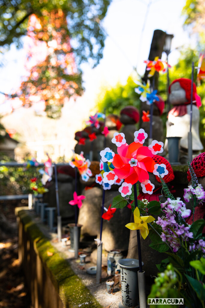 芝公園番外編④