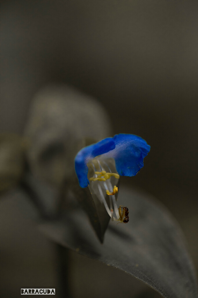 真似してみましたシリーズ(*´з`)　③