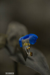 真似してみましたシリーズ(*´з`)　③