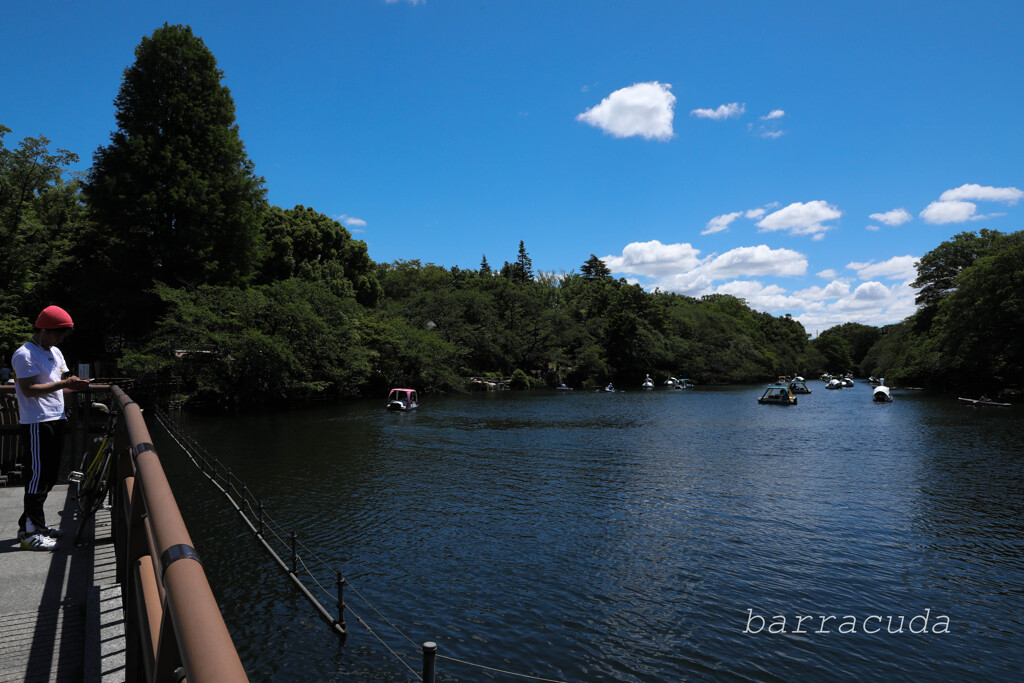 井之頭公園の巻（またしても蔵出し）③