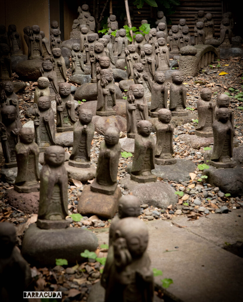 我々も、何もわかりません。ただ祈るのみです！( 一一)