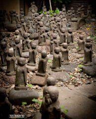 我々も、何もわかりません。ただ祈るのみです！( 一一)