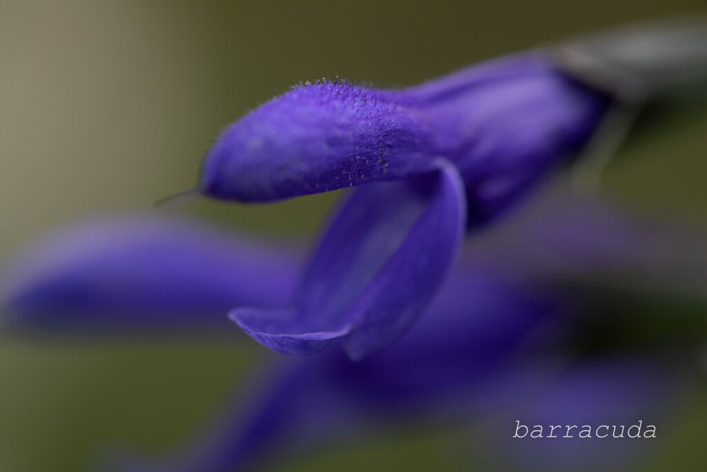 港が見える丘公園⑩