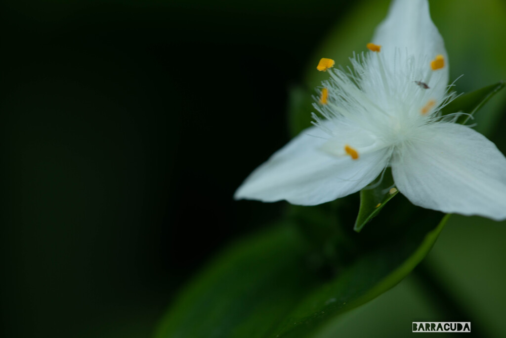 近くの公園にて③