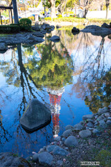 東京タワーシリーズ③