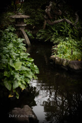 長谷寺のわすれもの②