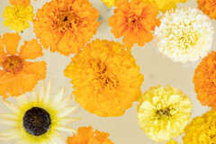 フラワーアレンジメント黄色系