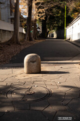 九品仏再び　帰路