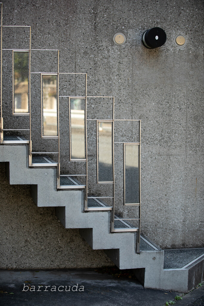 深沢・等々力界隈⑤