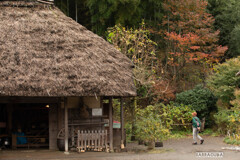 トイレはどこかしら～？
