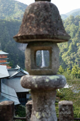 伊勢・熊野・高野山　旅行シリーズ