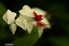 長久保公園にて②