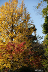 上野公園散策（第一弾）④