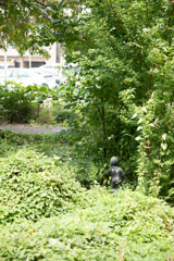 玉川上水緑道シリーズ