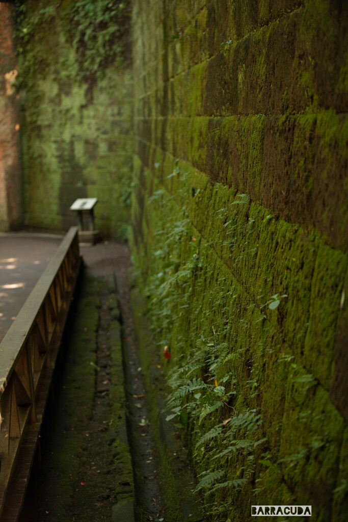 横須賀・猿島シリーズ④　冒険Ⅲ