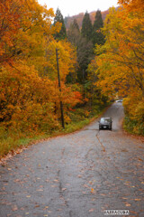 乳頭温泉郷の紅葉⑤