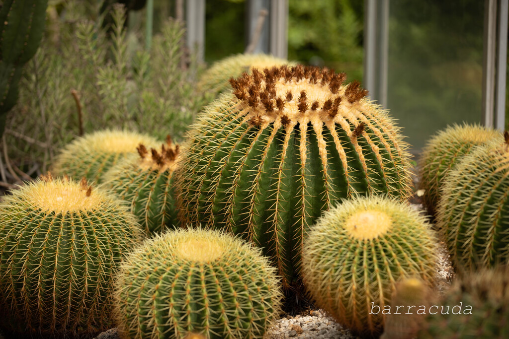 横浜こども植物園にて５
