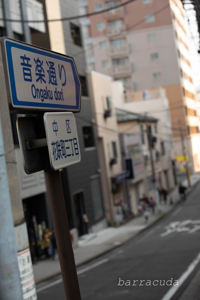 桜木町界隈散策②