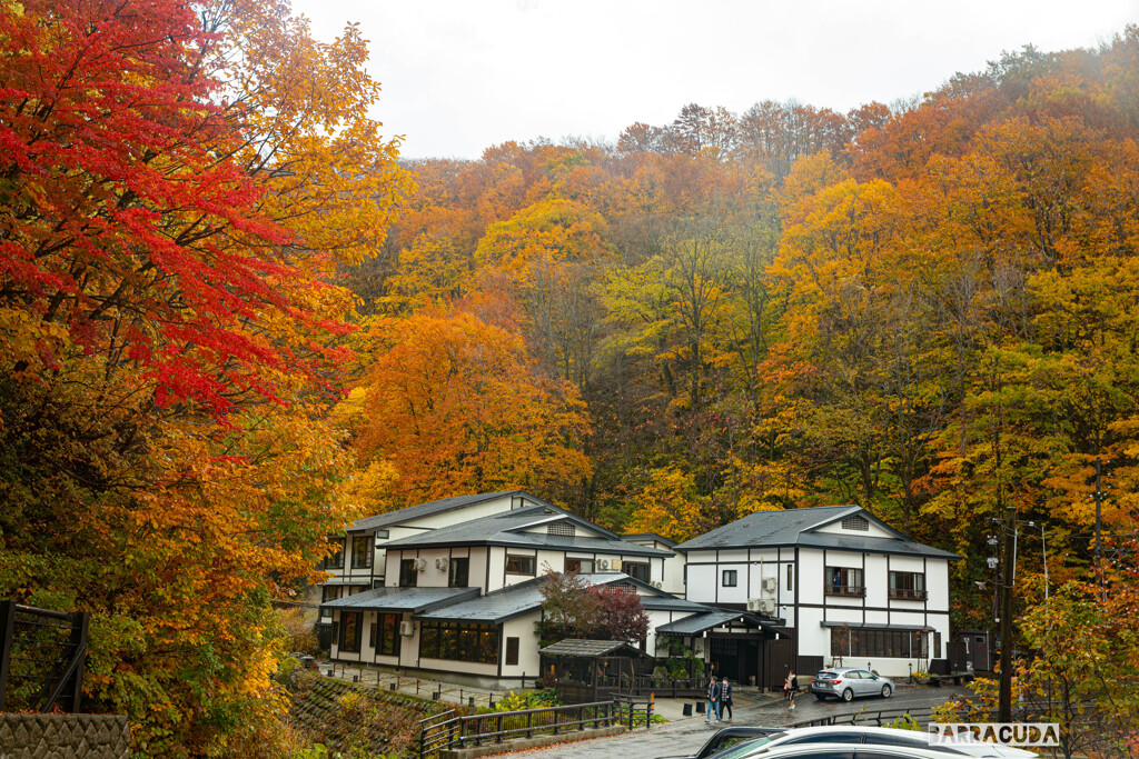 乳頭温泉郷の紅葉②