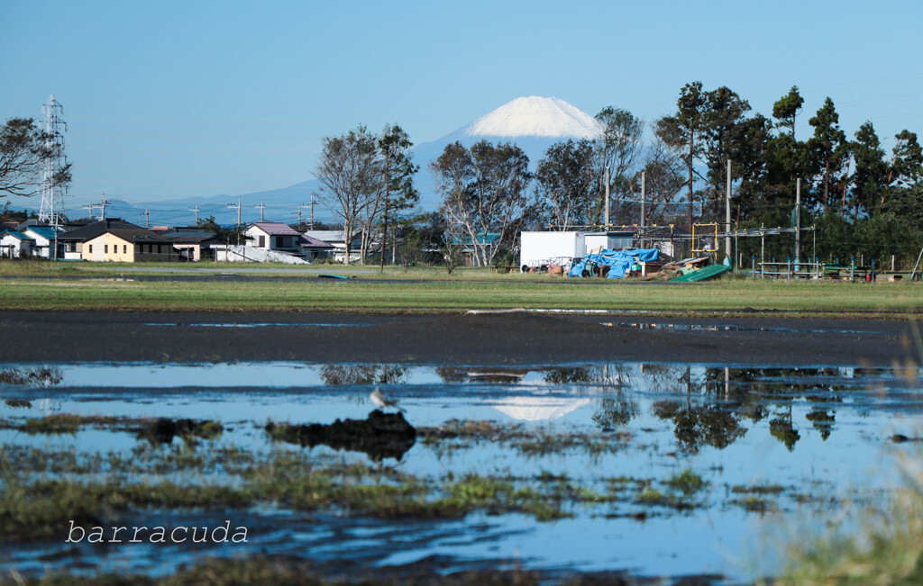 何とか、逆さ富士！(^-^;