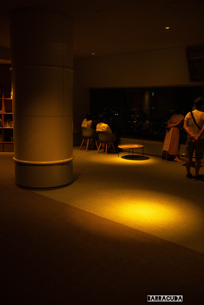 横浜ランドマークタワー展望台⑥