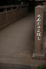 玉川上水緑道シリーズ8