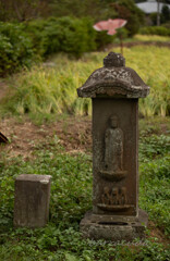 舞岡公園シリーズ