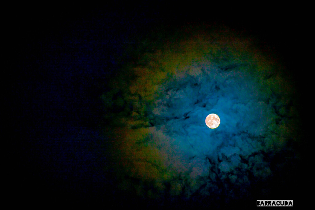 なりふりかまわず