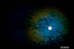 なりふりかまわず